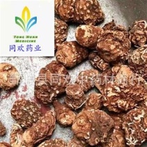 【尼泊尔重楼个七叶一枝花】@【同欢药材】中药材批发供应