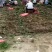 长丰红颜草莓，苗荘根粗，成活率高欢迎采购商实地考察