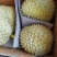 批发【榴莲】肉多香甜5～6头各种品牌都有实惠价