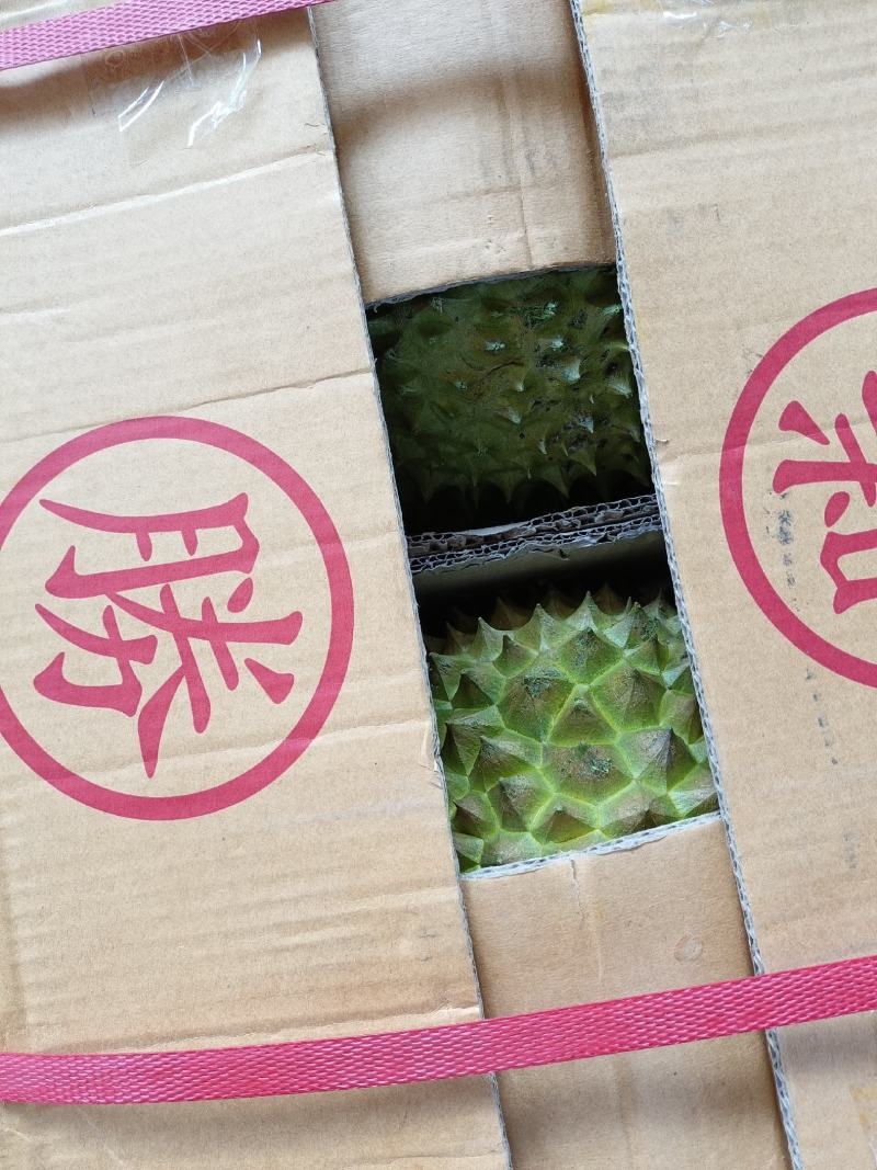 批发【榴莲】肉多香甜5～6头各种品牌都有实惠价