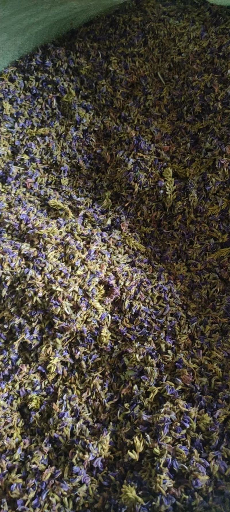 野生葛花/葛花/小葛花/大葛花/广西葛花/产地直销小葛花