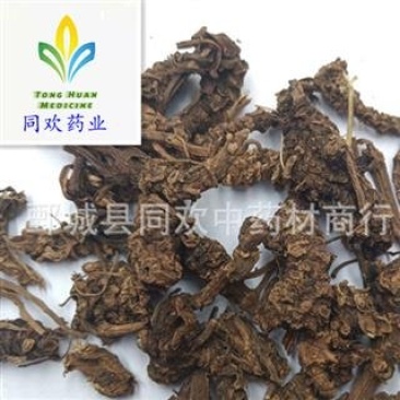 【蜘蛛香】@【同欢药材】中药材批发供应规格齐全