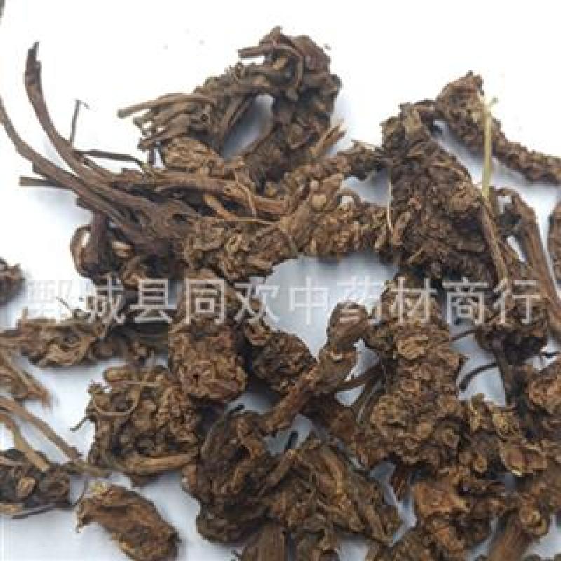 【蜘蛛香】@【同欢药材】中药材批发供应规格齐全