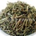 【珍珠透骨草珠子多】@【同欢药材】中药材批发供应