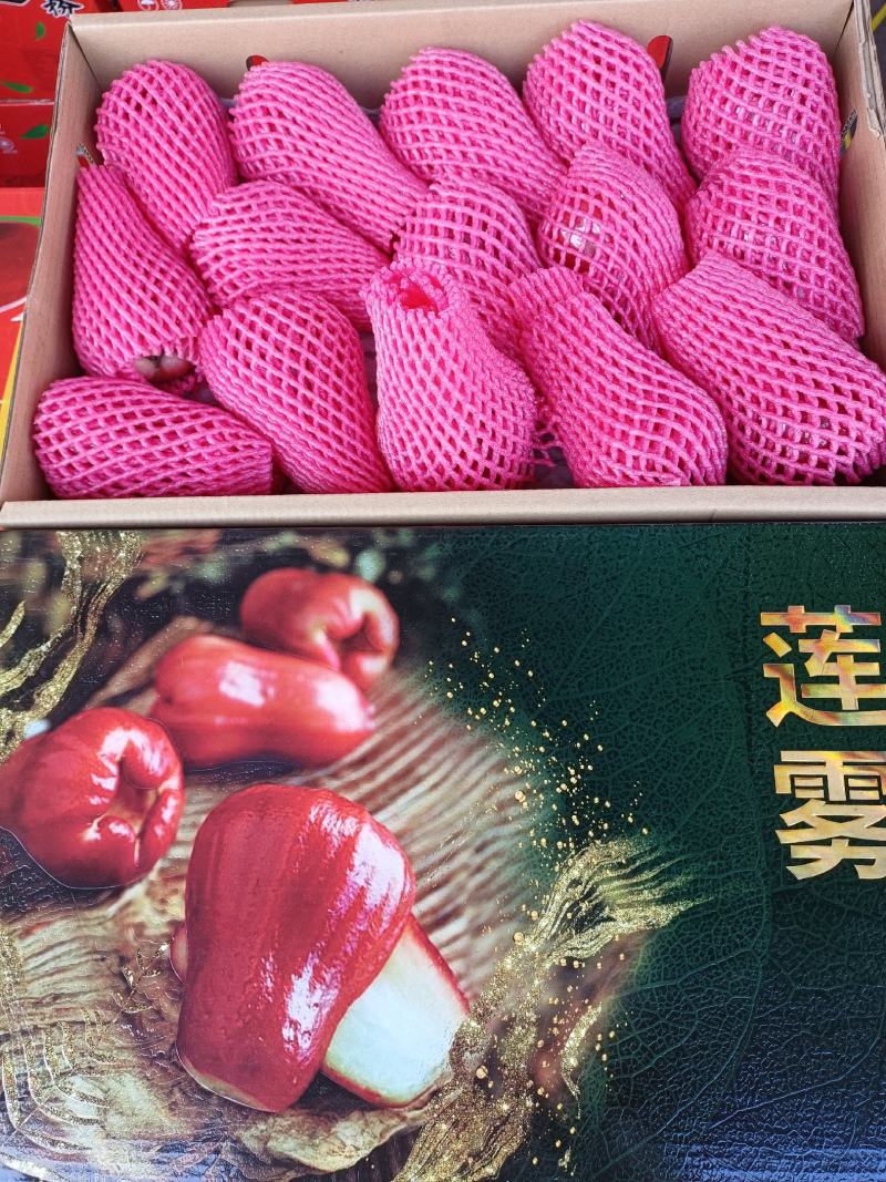 批发【莲雾】国产品质海南农货一手货源直销批发价实惠