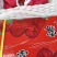 批发【莲雾】国产品质海南农货一手货源直销批发价实惠