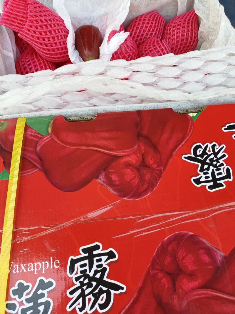 批发【莲雾】国产品质海南农货一手货源直销批发价实惠