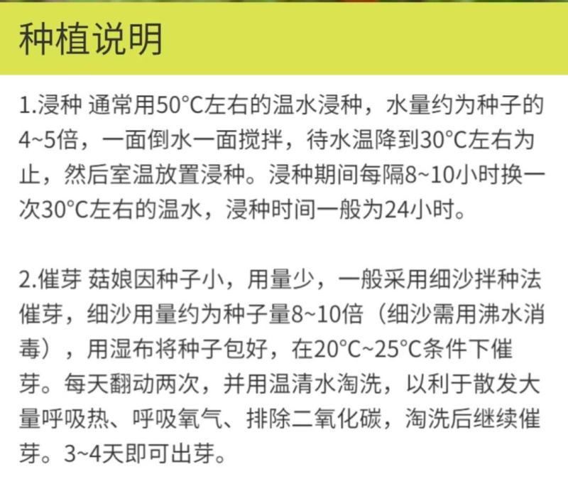 红灯笼种子红菇娘挂金灯锦灯笼酸浆果盆栽水果嫁接种子