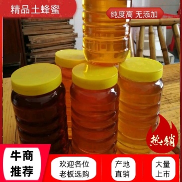 【热卖】土蜂蜜，口感纯正无污染无添加，纯度高，各地电商供