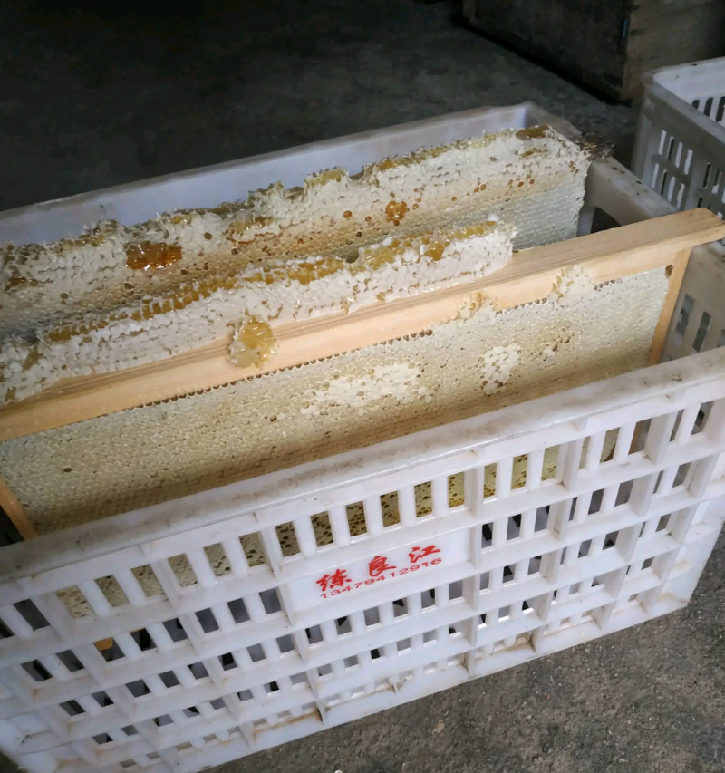【热卖】土蜂蜜，口感纯正无污染无添加，纯度高，各地电商供