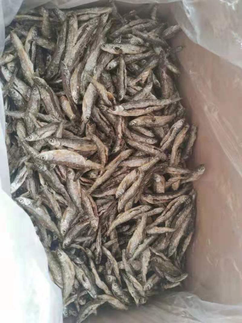 【发货中】油炸鱼，油炸白条，蓝刀，诚信买卖，质量保证