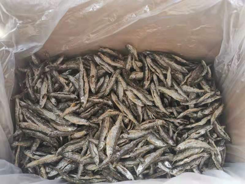 【发货中】油炸鱼，油炸白条，蓝刀，诚信买卖，质量保证