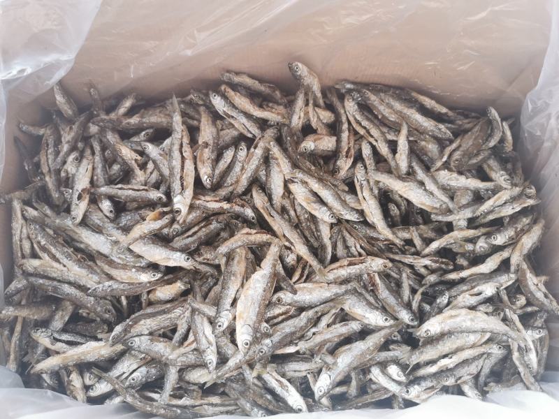 【发货中】油炸鱼，油炸白条，蓝刀，诚信买卖，质量保证