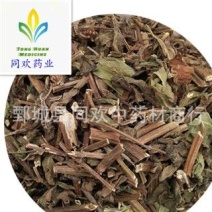 【新货薄荷】@【同欢药材】中药材批发供应规格齐全