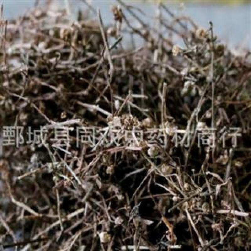 【白花蛇舌草】@【同欢药材】中药材批发供应