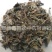 【败酱草】@【同欢药材】中药材批发供应规格齐全