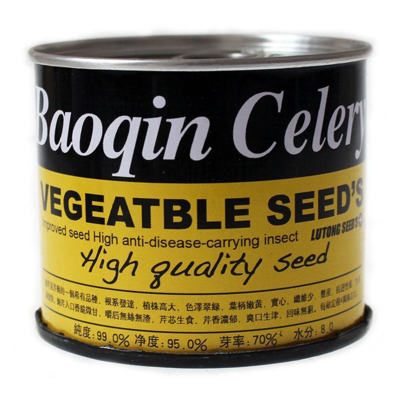 鲍芹种子种籽实心芹菜阳台菜种四季盆栽籽种蔬菜孑菜籽