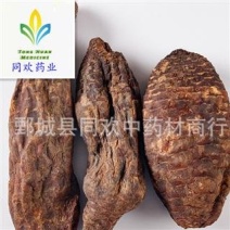 【大选硬肉苁蓉个】@【同欢药材】中药材批发供应