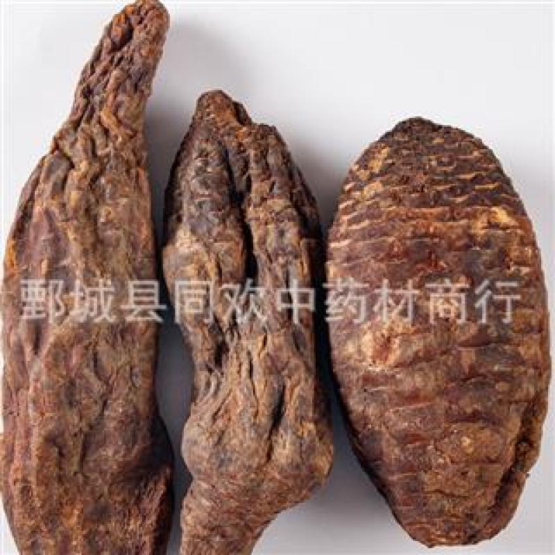 【大选硬肉苁蓉个】@【同欢药材】中药材批发供应