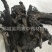【清水软肉苁蓉片】@【同欢药材】中药材批发供应