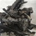 【清水软肉苁蓉片】@【同欢药材】中药材批发供应