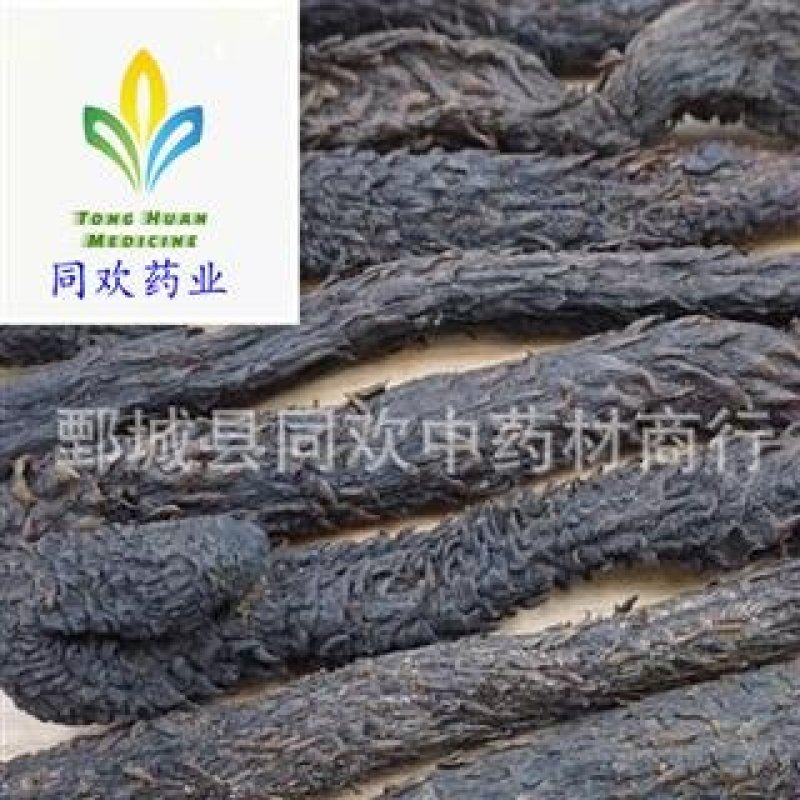 【中条肉苁蓉】@【同欢药材】中药材批发供应