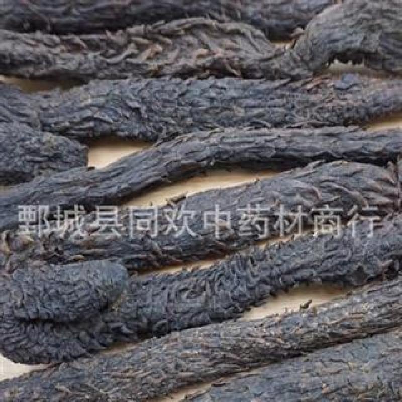【中条肉苁蓉】@【同欢药材】中药材批发供应