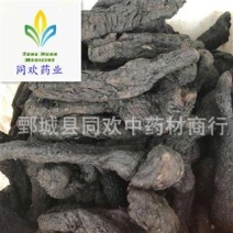 【大个软肉苁蓉】@【同欢药材】中药材批发供应规格齐全