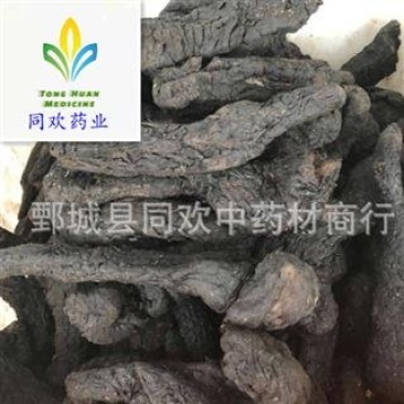 【大个软肉苁蓉】@【同欢药材】中药材批发供应规格齐全