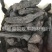 【大个软肉苁蓉】@【同欢药材】中药材批发供应规格齐全