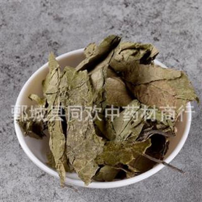 【杜仲叶】@【同欢药材】中药材批发供应规格齐全