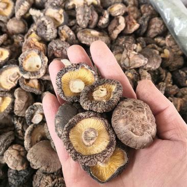 优质干香菇冬菇花菇味道浓郁2.5-4.0cm