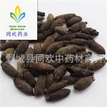 【母丁香】@【同欢药材】中药材批发供应规格齐全