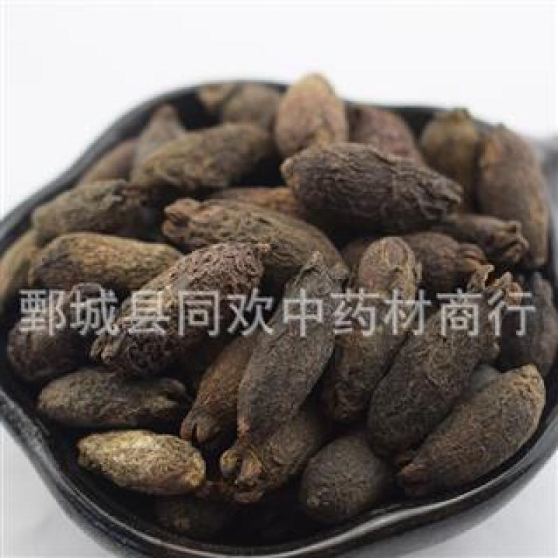 【母丁香】@【同欢药材】中药材批发供应规格齐全
