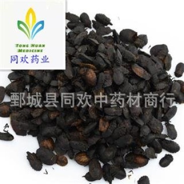 【小九香虫】@【同欢药材】中药材批发供应规格齐全