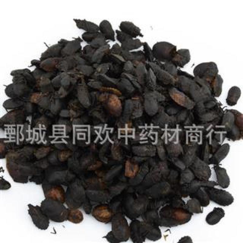 【小九香虫】@【同欢药材】中药材批发供应规格齐全
