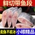 新鲜冷冻带鱼海浦带鱼段东海小眼刀鱼中段大段整箱包邮