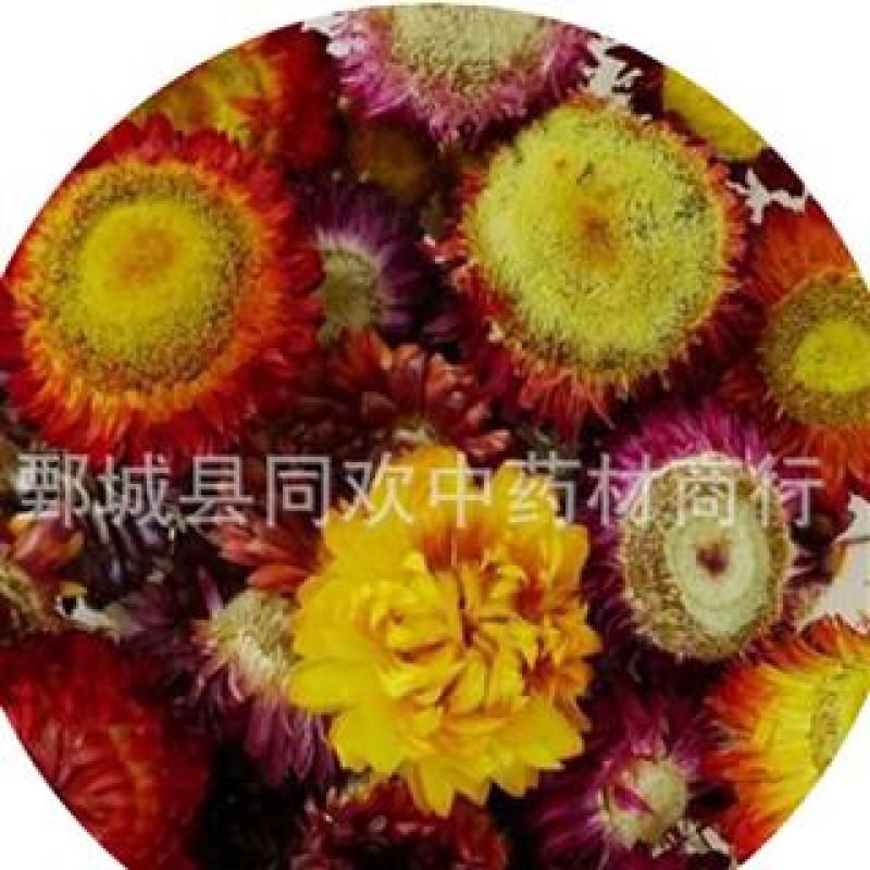 【七彩菊菊花】@【同欢药材】中药材批发供应