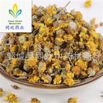 【新货野菊花】@【同欢药材】中药材批发供应规格齐全