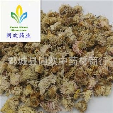 【白菊花】@【同欢药材】中药材批发供应规格齐全