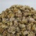 【白菊花】@【同欢药材】中药材批发供应规格齐全