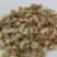 【白菊花】@【同欢药材】中药材批发供应规格齐全