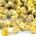 【胎菊菊花】@【同欢药材】中药材批发供应规格齐全