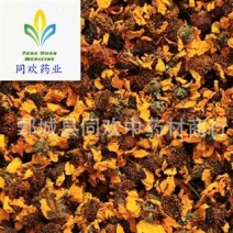 【雪菊菊花】@【同欢药材】中药材批发供应规格齐全