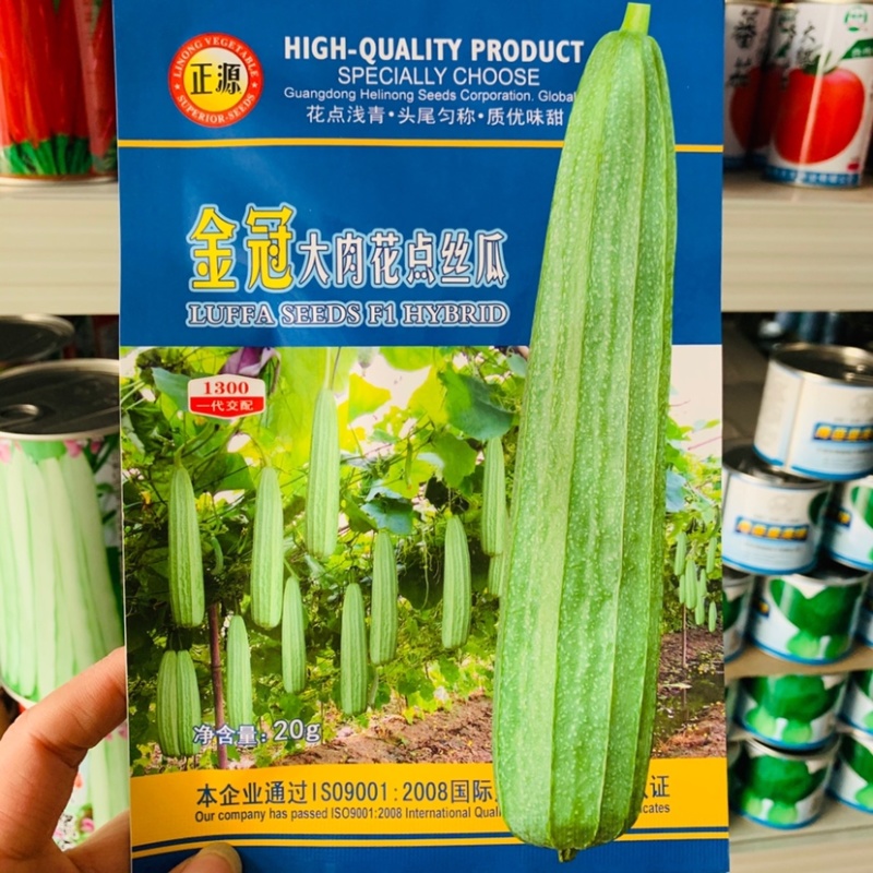 正源金冠大肉花点丝瓜种子杂交种瓜皮花点浅青，味甜，高产