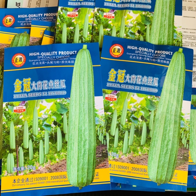 正源金冠大肉花点丝瓜种子杂交种瓜皮花点浅青，味甜，高产