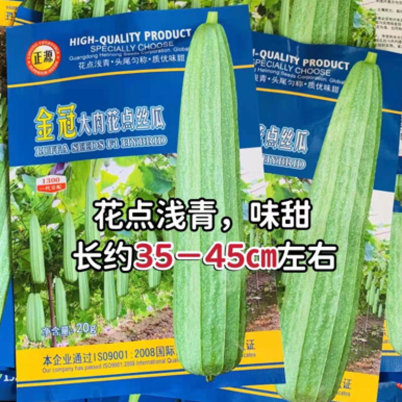 正源金冠大肉花点丝瓜种子杂交种瓜皮花点浅青，味甜，高产