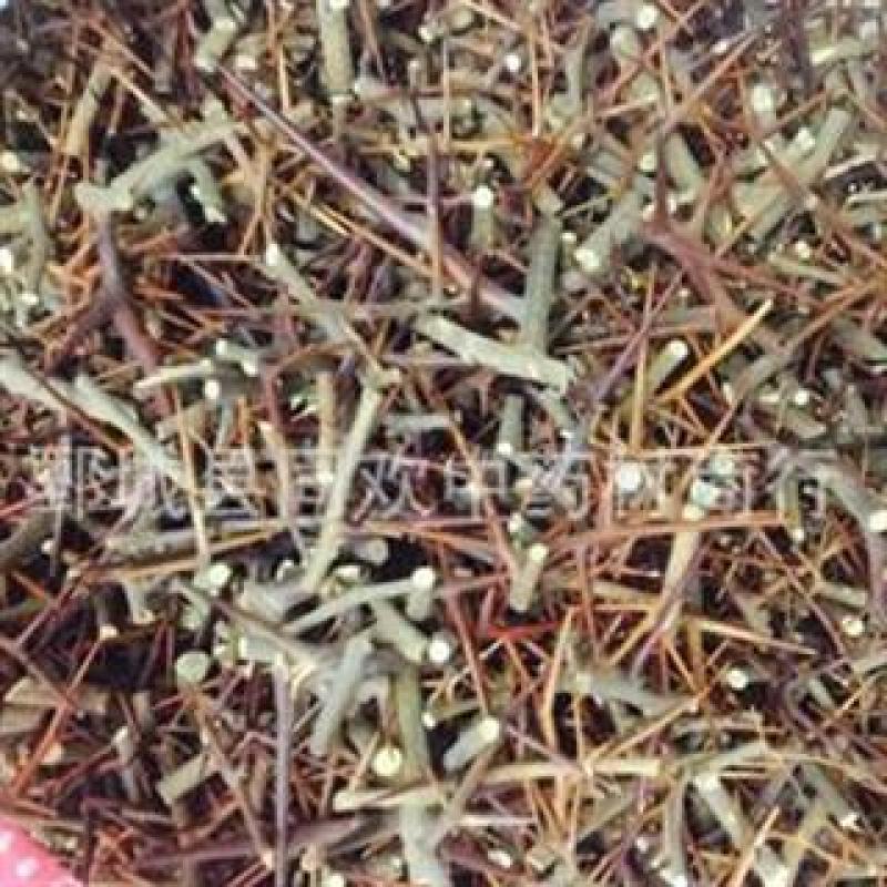同欢药材批发供应皂角刺有镇有杆产地直销重在品质