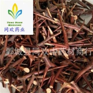 【皂角刺皂针纯针】@【同欢药材】中药材批发供应规格齐