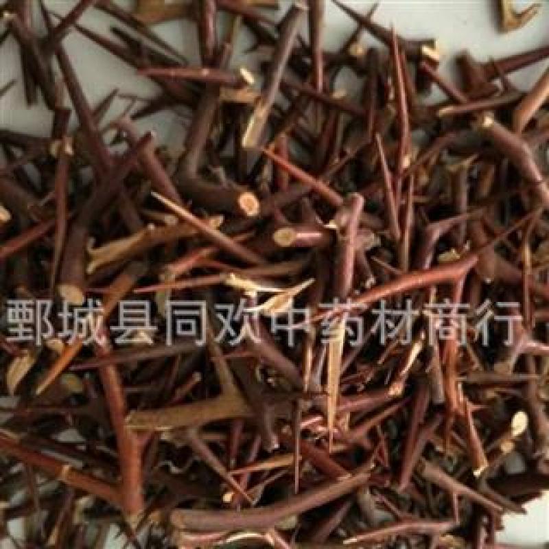 【皂角刺皂针纯针】@【同欢药材】中药材批发供应规格齐